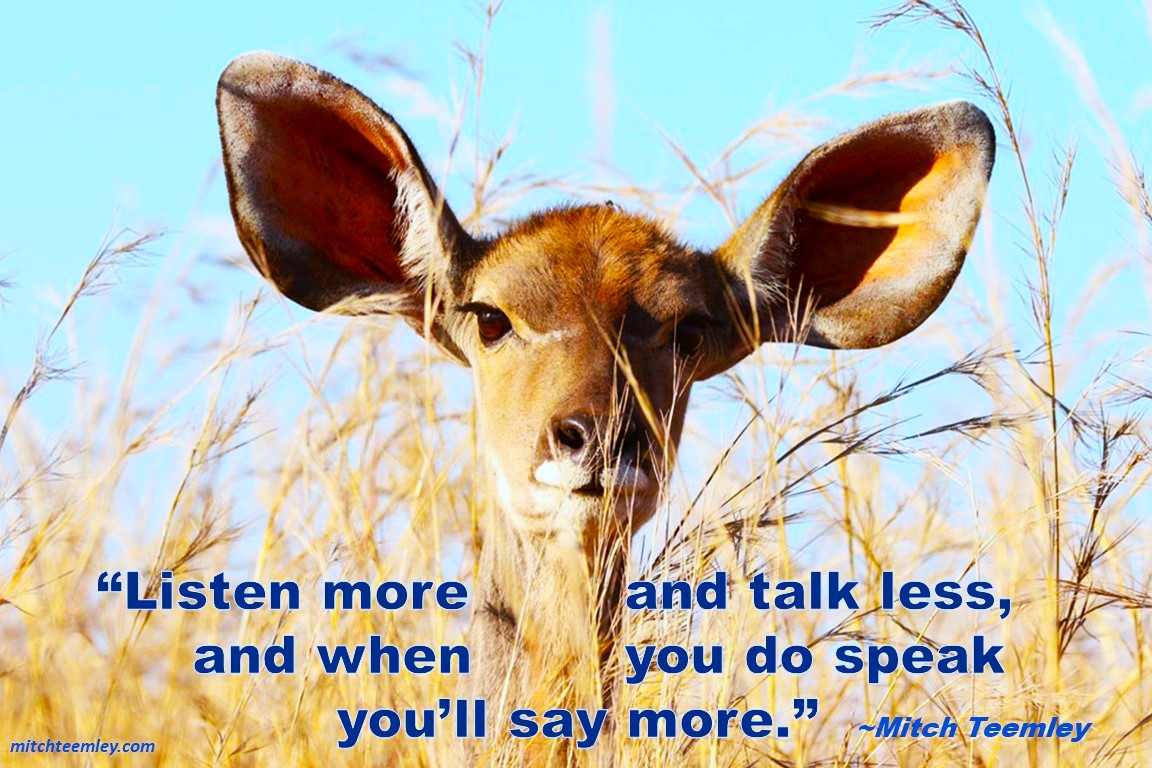 Listen More and Talk Less - Mitch TeemleyMitch Teemley